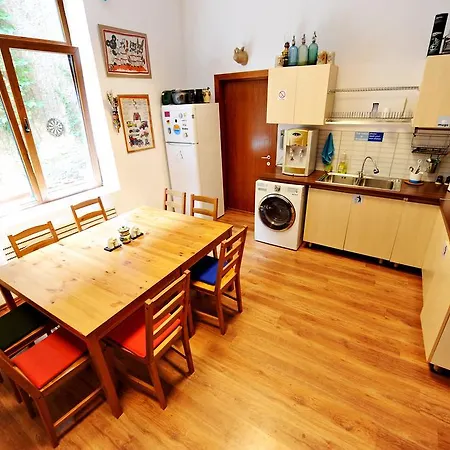 Podstel Umbrella Bucureşti